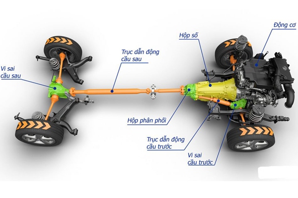 Vị trí vi sai cầu sau và vi sai cầu trước