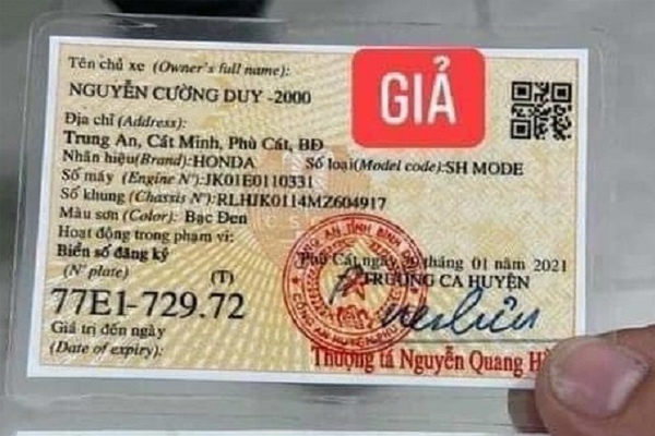 cà vẹt xe giả