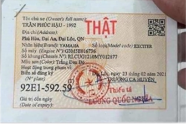 Cà vẹt xe thật