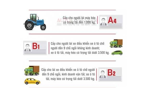 Các loại bằng lái xe
