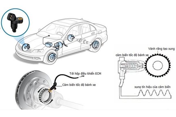 Nguyên lý hoạt động cảm biến tốc độ xe ô tô