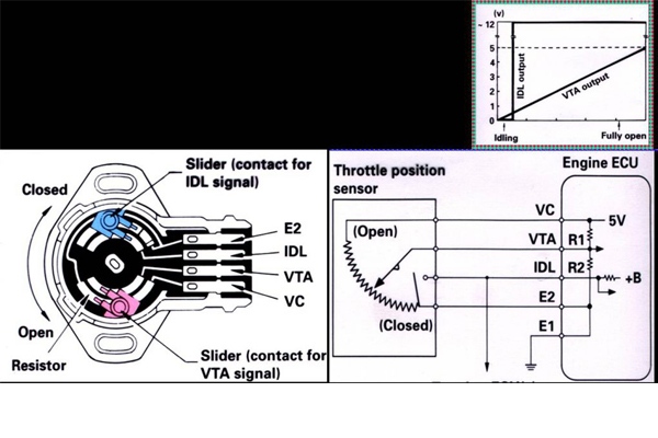 Sơ đồ mạch cảm biến vị trí bướm ga
