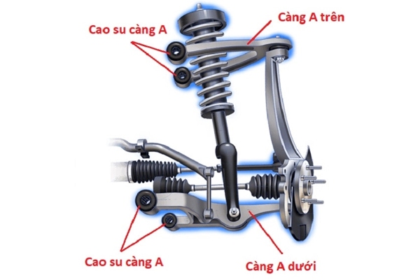 Cấu tạo càng A ô tô