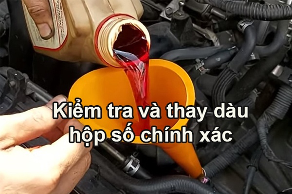 Kiểm tra và thay dầu hộp số ô tô