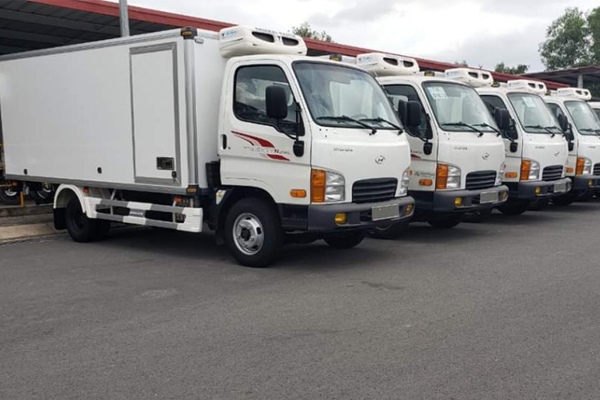 Xe đông lạnh Hyundai Mighty N250SL