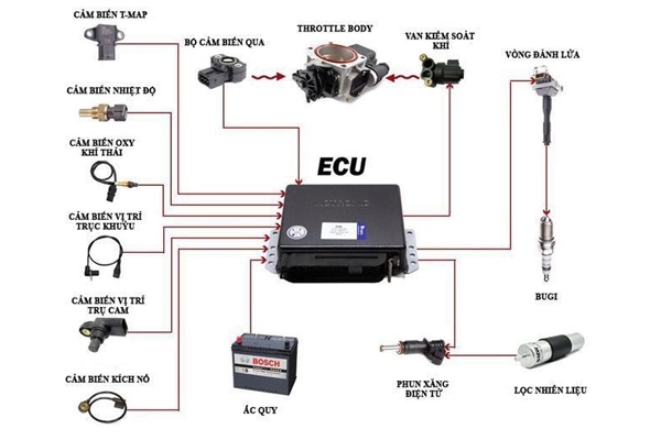 Nguyên lý hoạt động ECU ô tô là gì?
