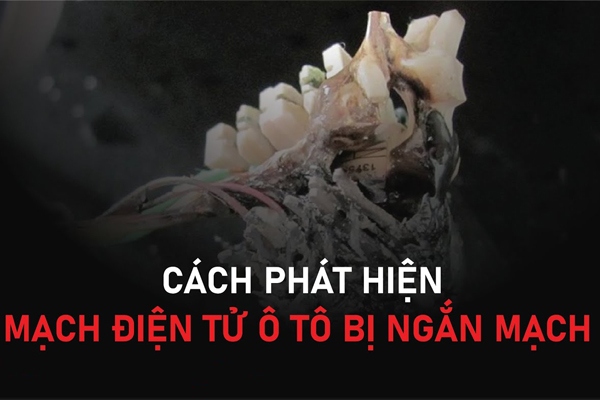 Phát hiện mạch điện ô tô bị ngắn mạch