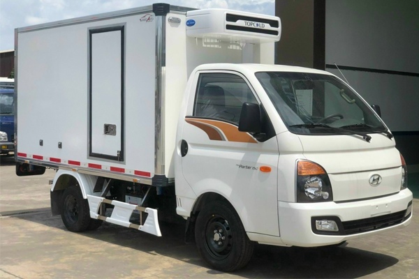 Thùng đông lạnh Hyundai H150