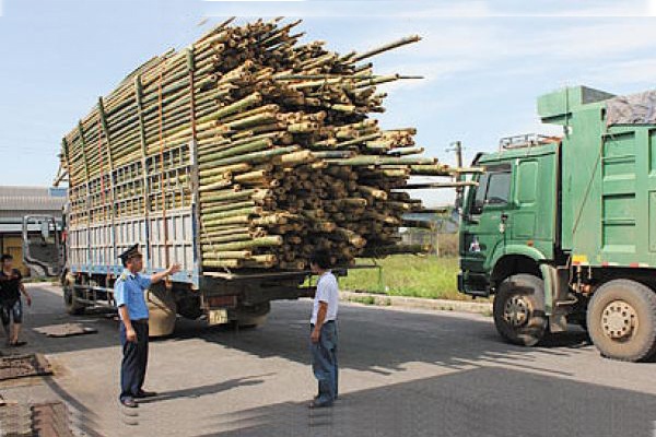 Quy định về tải trọng xe tải