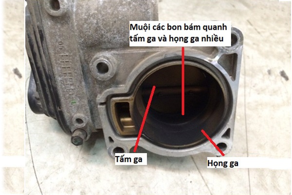 Vệ sinh bướm ga xe ô tô tại nhà đúng cách