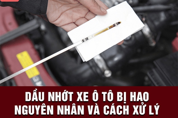 Nguyên nhân xe ô tô bị hao nhớt