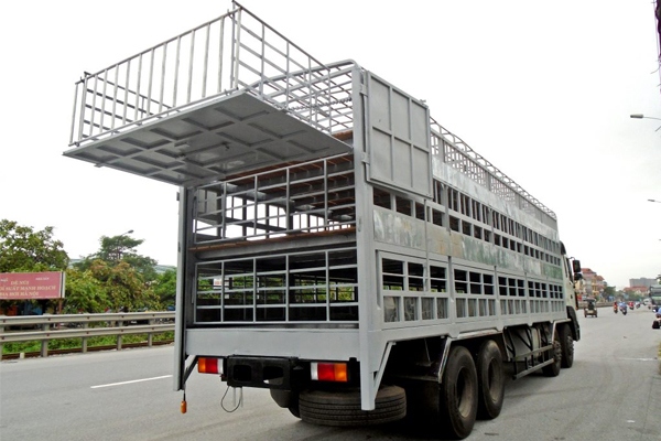 Xe tải chở gia súc gia cầm Hyundai