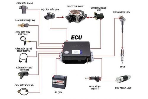 Cấu tạo và nguyên lý hoạt động của ECU ô tô là gì