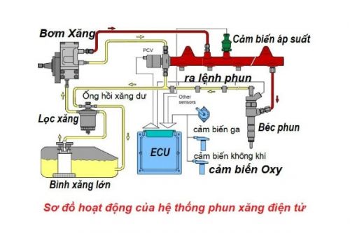 Chi tiết hệ thống cung cấp nhiên liệu động cơ xăng
