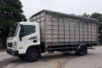 Mighty EX8L - 7 tấn - Xe chuyên dụng