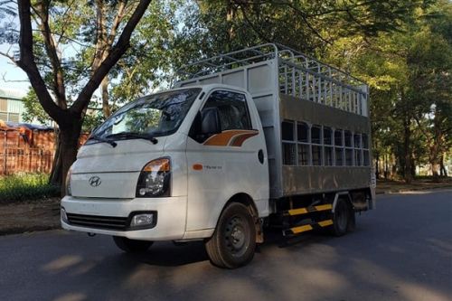 Địa chỉ mua xe tải Hyundai chở gia súc gia cầm uy tín tại Hưng Yên